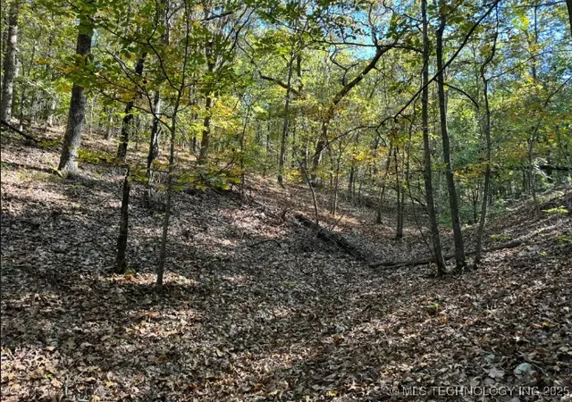 Photo 4 of Land for sale at 6200 N Starr Ridge Rd, Proctor, OK 74457 | MLS# 2544298 | Listing updated on 2026-08-20