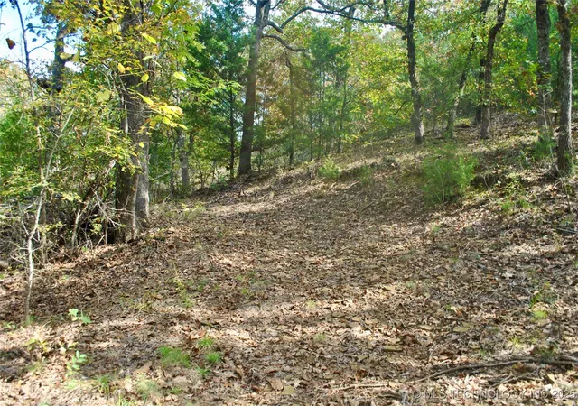 4th image of 3506 Sawmill Rd, Caddo, OK 74729 | MLS# 2545173
