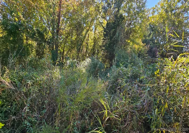 Photo 2 of Land for sale at 000000 E 1030 Rd, Sallisaw, OK 74955 | MLS# 2546130 | Listing updated on 2026-08-26