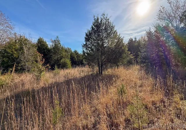 38th image of S 75th St, Porum, OK 74455 | MLS# 2546879