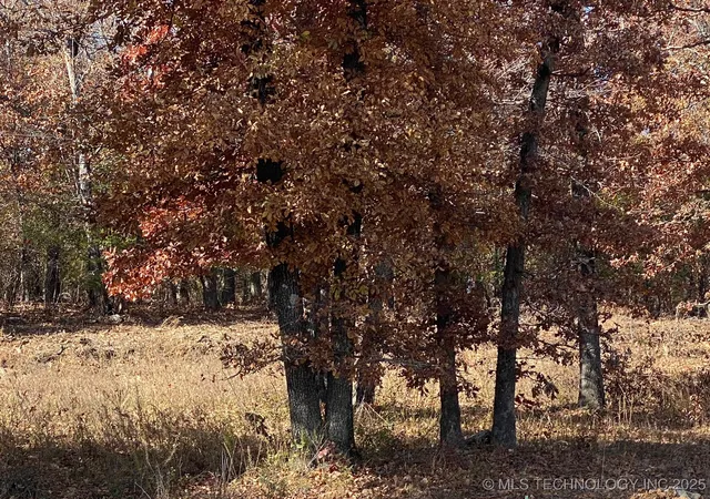 Photo 4 of Land for sale at 704 Woodlands Dr, Tahlequah, OK 74464 | MLS# 2547643 | Listing updated on 2025-11-19