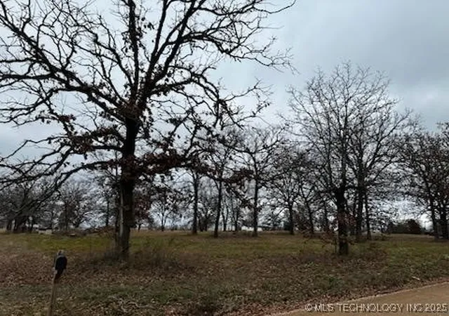 Homes for sale in Vian, OK | (Undisclosed), Vian, OK 74962 | MLS# 2548187