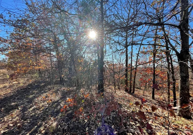Photo 4 of Land for sale at S 4507 Road, Vian, OK 74962 | MLS# 2548217 | Listing updated on 2026-08-20