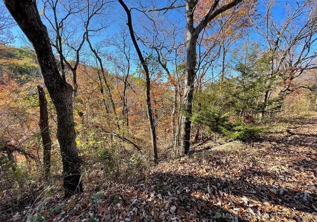 Photo 5 of Land for sale at S 4507 Road, Vian, OK 74962 | MLS# 2548217 | Listing updated on 2026-08-20