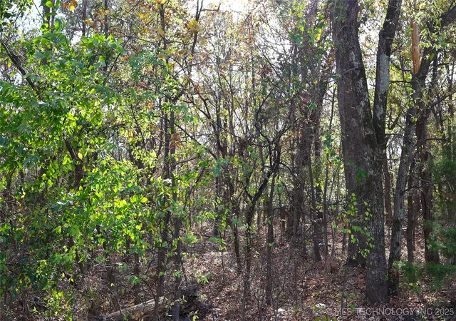 Photo 2 of Land for sale at E 700 Road, Wagoner, OK 74467 | MLS# 2548784 | Listing updated on 2026-08-27