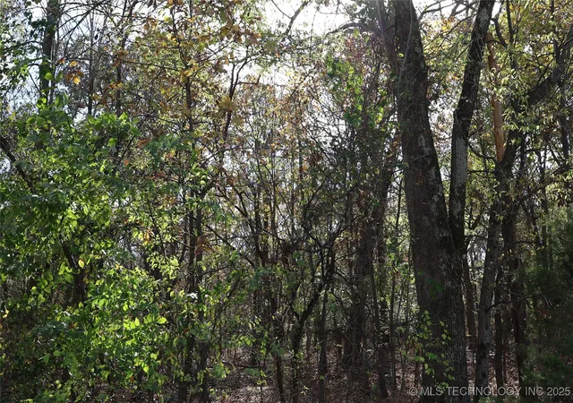 Photo 3 of Land for sale at E 700 Road, Wagoner, OK 74467 | MLS# 2548784 | Listing updated on 2026-08-27