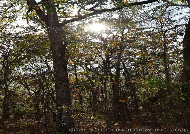 Photo 3 of Land for sale at E 700 Road, Wagoner, OK 74467 | MLS# 2548784 | Listing updated on 2026-08-27