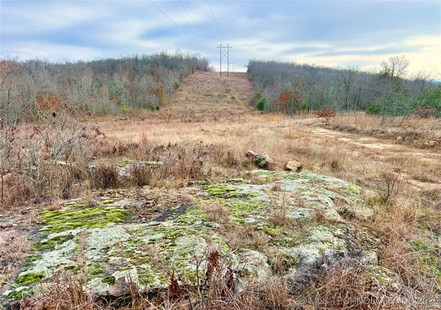 Photo 3 of Land for sale at 805 Road, Fort Gibson, OK 74434 | MLS# 2549704 | Listing updated on 2026-08-22