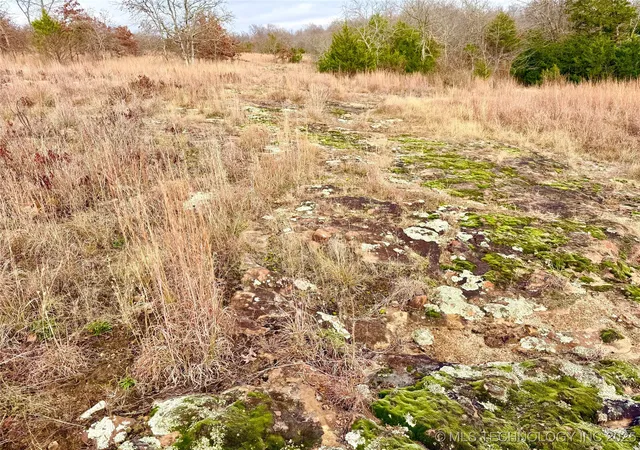 Photo 4 of Land for sale at 805 Road, Fort Gibson, OK 74434 | MLS# 2549704 | Listing updated on 2026-08-22