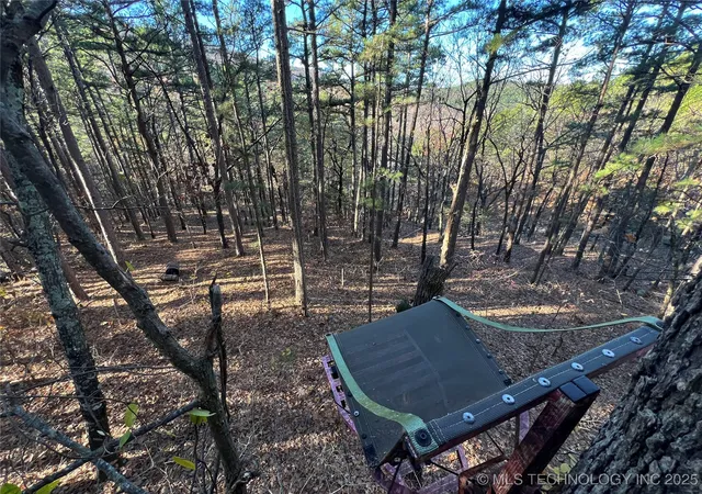 3rd image of 1 Mile, Poteau, OK 74953 | MLS# 2550184