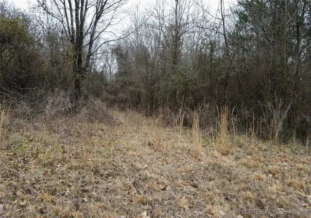 Photo 5 of Land for sale at W 810 Road, Tahlequah, OK 74464 | MLS# 2600631 | Listing updated on 2026-07-27