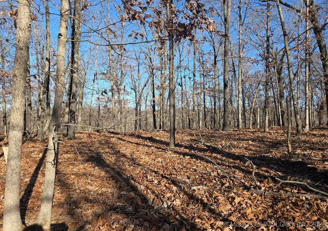 Photo 4 of Sale Pending at Pigeon Ridge, Proctor, OK 74457 | MLS# 2600861 | Listing updated on 2026-07-28