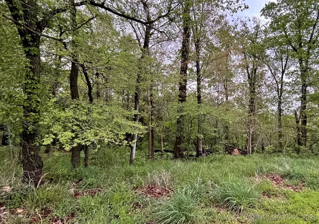 Homes for sale in Kansas, OK | 1229 Pheasant Run Rd, Kansas, OK 74347 | MLS# 2600953