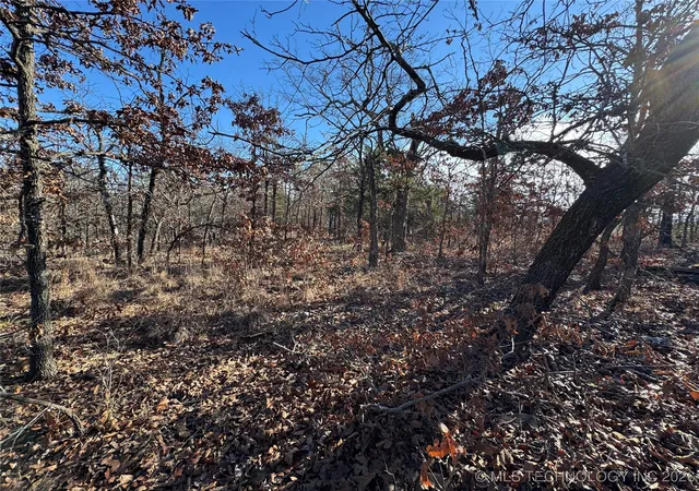 21st image of 2501 Lott Bottom, Mc Alester, OK 74501 | MLS# 2601137