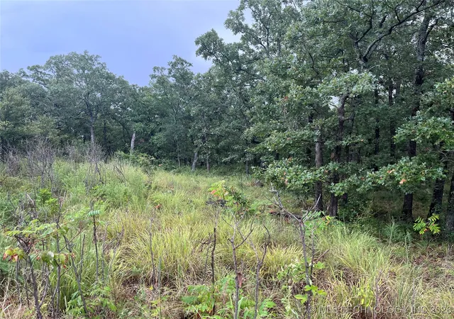 Photo 3 of Land for sale at Rural Route, Hanna, OK 74845 | MLS# 2601214 | Listing updated on 2026-05-04