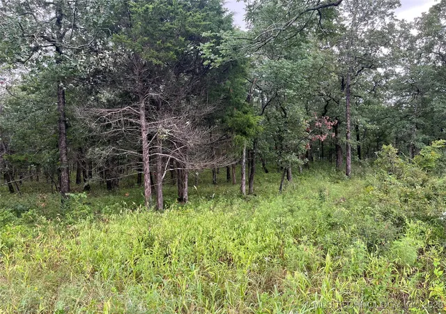 Photo 4 of Land for sale at Rural Route, Hanna, OK 74845 | MLS# 2601214 | Listing updated on 2026-05-04