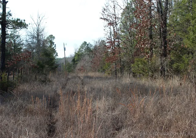 5th image of 34 Tram Trl, Rattan, OK 74562 | MLS# 2601146