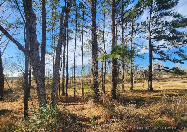 13th image of 11023 S Bentley, Atoka, OK 74525 | MLS# 2602029
