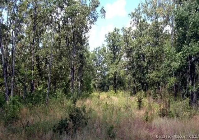 Photo 4 of Land for sale at 4055 Road, Checotah, OK 74426 | MLS# 2602976 | Listing updated on 2026-08-20