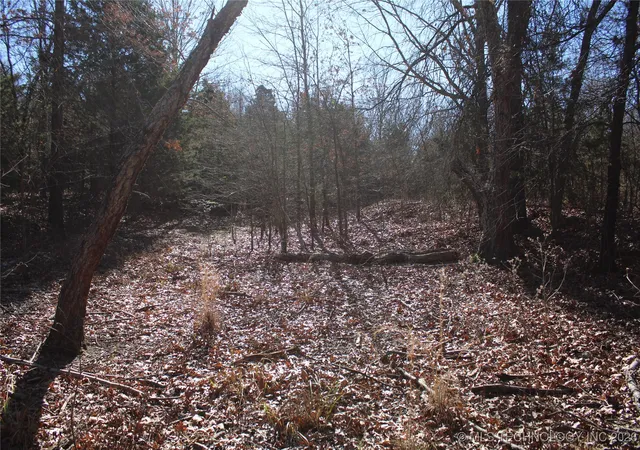 35th image of 0000 Hwy 150, Checotah, OK 74426 | MLS# 2603094