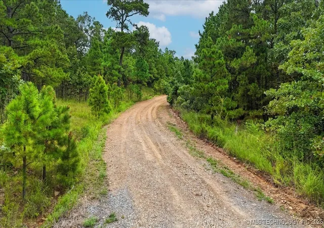 Homes for sale in Buffalo Valley, OK | 1025, Buffalo Valley, OK 74571 | MLS# 2603288