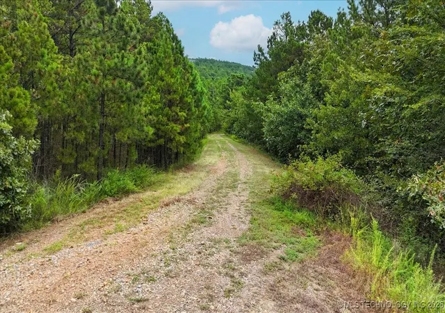 Homes for sale in Buffalo Valley, OK | 1025, Buffalo Valley, OK 74571 | MLS# 2603288