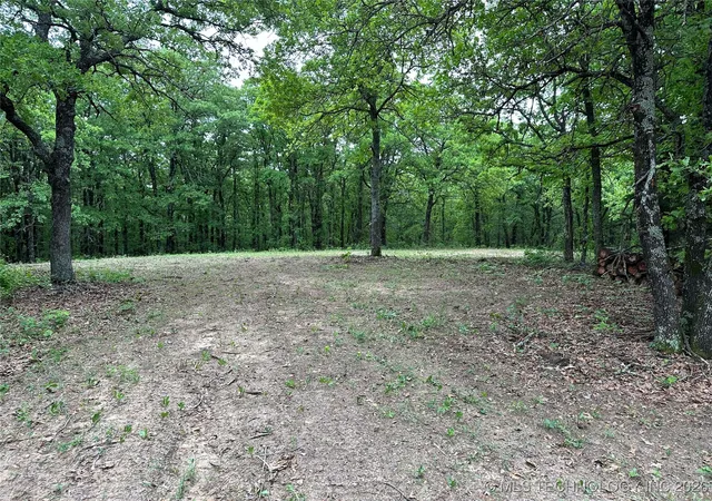 Homes for sale in Wilson, OK | State Hwy 76, Wilson, OK 73463 | MLS# 2603262
