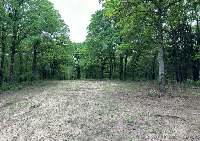 Homes for sale in Wilson, OK | State Hwy 76, Wilson, OK 73463 | MLS# 2603262