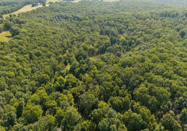 Photo 3 of Land for sale at 16398 N Fred Smith Rd, Tahlequah, OK 74464 | MLS# 2603554 | Listing updated on 2026-08-20