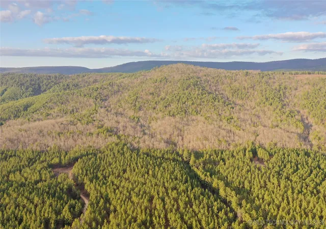 3rd image of Marsh Loop Loop, Smithville, OK 74957 | MLS# 2603458