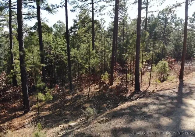 Homes for sale in Tuskahoma, OK | Mountain View Dr, Tuskahoma, OK 74574 | MLS# 2603934
