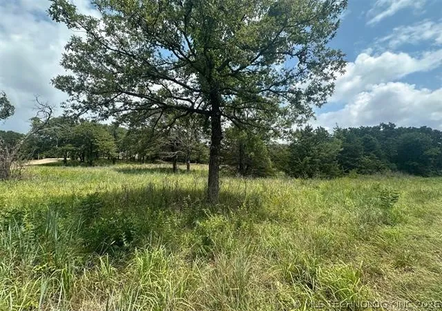 3rd image of Alberta Creek, Kingston, OK 73439 | MLS# 2604231