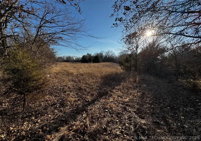 Photo 4 of Land for sale at E State Hwy 43, Daisy, OK 74540 | MLS# 2604857 | Listing updated on 2026-08-20