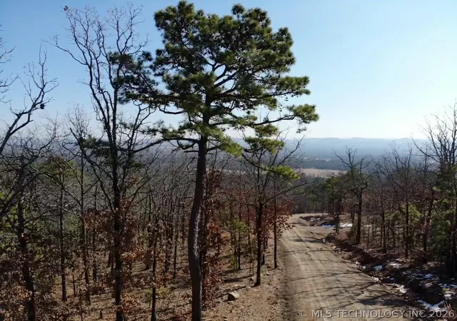 Photo 2 of Land for sale at Lake View, Tuskahoma, OK 74574 | MLS# 2604933 | Listing updated on 2026-08-20