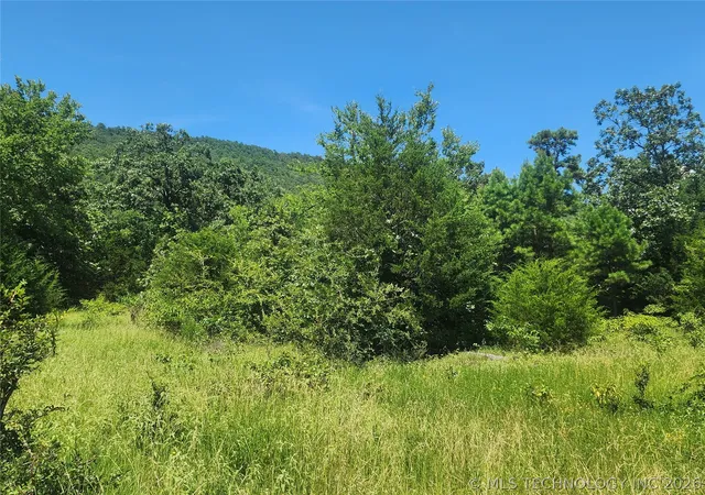 Photo 3 of Land for sale at Se State Hwy 63, Talihina, OK 74571 | MLS# 2605360 | Listing updated on 2026-02-16