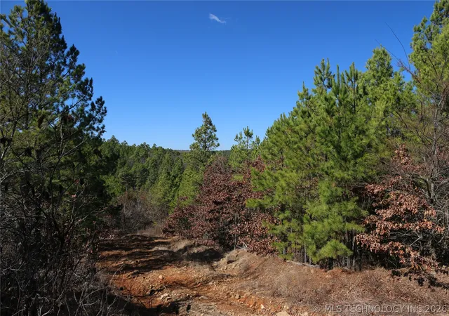 Homes for sale in Red Oak, OK | County Road 1342, Red Oak, OK 74563 | MLS# 2606053
