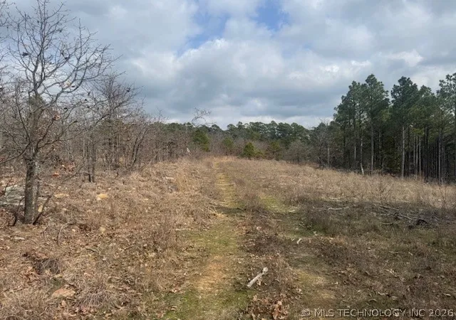 2nd image of E Blue Mountain Rd, Clayton, OK 74536 | MLS# 2607032