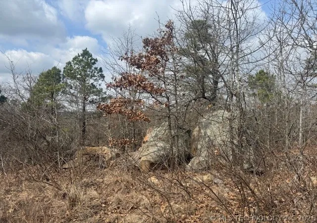 Homes for sale in Clayton, OK | E Blue Mountain Rd, Clayton, OK 74536 | MLS# 2607032