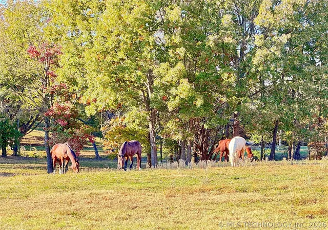 Photo 61 of Single family home for sale at 4321 S Bentley Rd, Atoka, OK 74525 | MLS# 2608245 | Listing updated on 2026-08-20