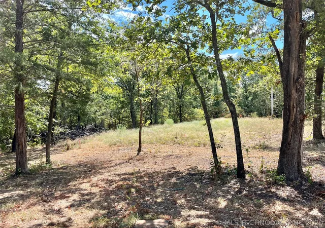 3rd image of Texoma Park Rd, Kingston, OK 73439 | MLS# 2608904