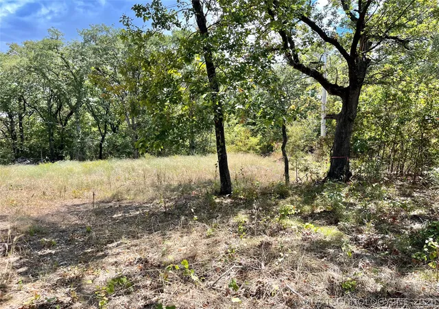 4th image of Texoma Park Rd, Kingston, OK 73439 | MLS# 2608904