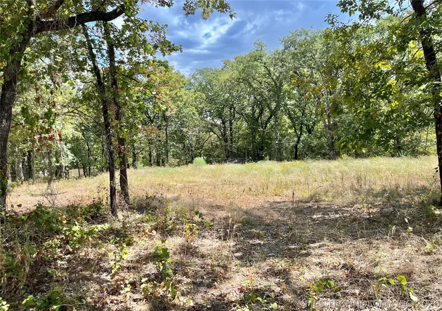 5th image of Texoma Park Rd, Kingston, OK 73439 | MLS# 2608904
