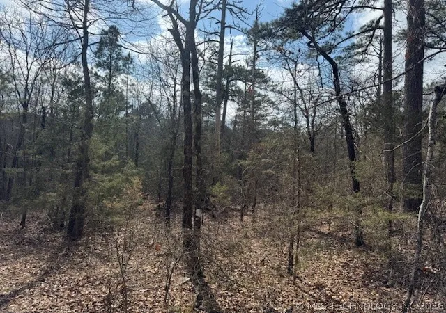 Homes for sale in Red Oak, OK | Turkey Creek Rd, Red Oak, OK 74563 | MLS# 2608768