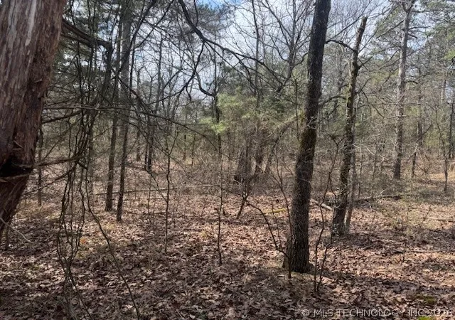 Homes for sale in Red Oak, OK | Turkey Creek Rd, Red Oak, OK 74563 | MLS# 2608768