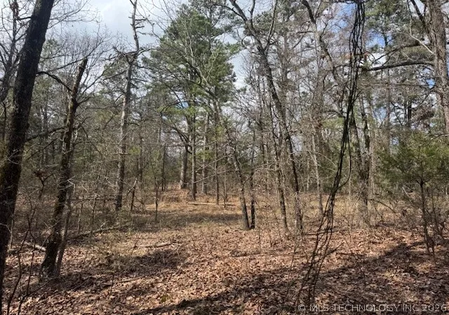 Homes for sale in Red Oak, OK | Turkey Creek Rd, Red Oak, OK 74563 | MLS# 2608768