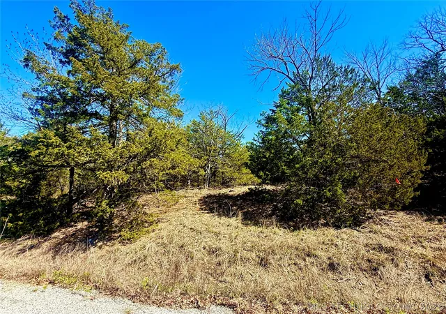 4th image of 18 Lakecrest Dr, Canadian, OK 74425 | MLS# 2609601