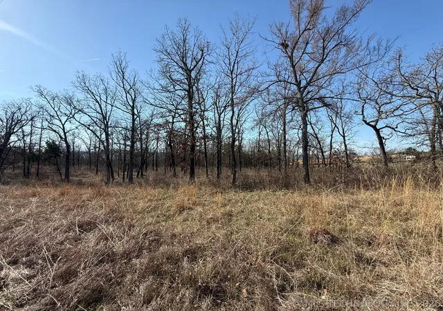Photo 1 of Land for sale at 0 Highway 63, Whitesboro, OK 74577 | MLS# 2610818 | Listing updated on 2026-09-18