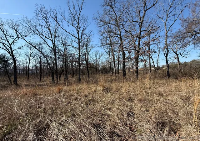 Photo 2 of Land for sale at 0 Highway 63, Whitesboro, OK 74577 | MLS# 2610818 | Listing updated on 2026-09-18