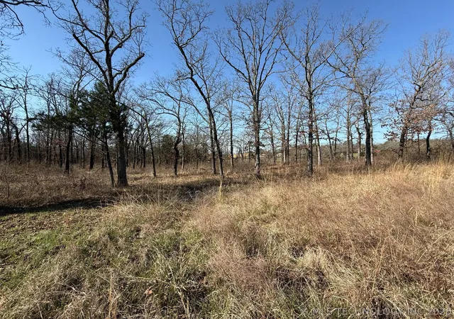 Photo 3 of Land for sale at 0 Highway 63, Whitesboro, OK 74577 | MLS# 2610818 | Listing updated on 2026-09-18