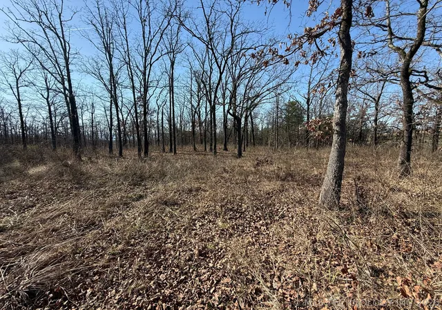 Photo 3 of Land for sale at 0 Highway 63, Whitesboro, OK 74577 | MLS# 2610818 | Listing updated on 2026-09-18